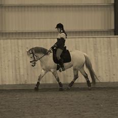 Connemara Haahr's Sundae