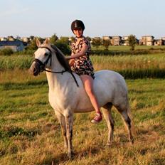 Connemara Haahr's Sundae