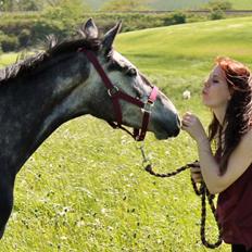 Anden særlig race Grønvangs Jocelynn |Joey| [Solgt]