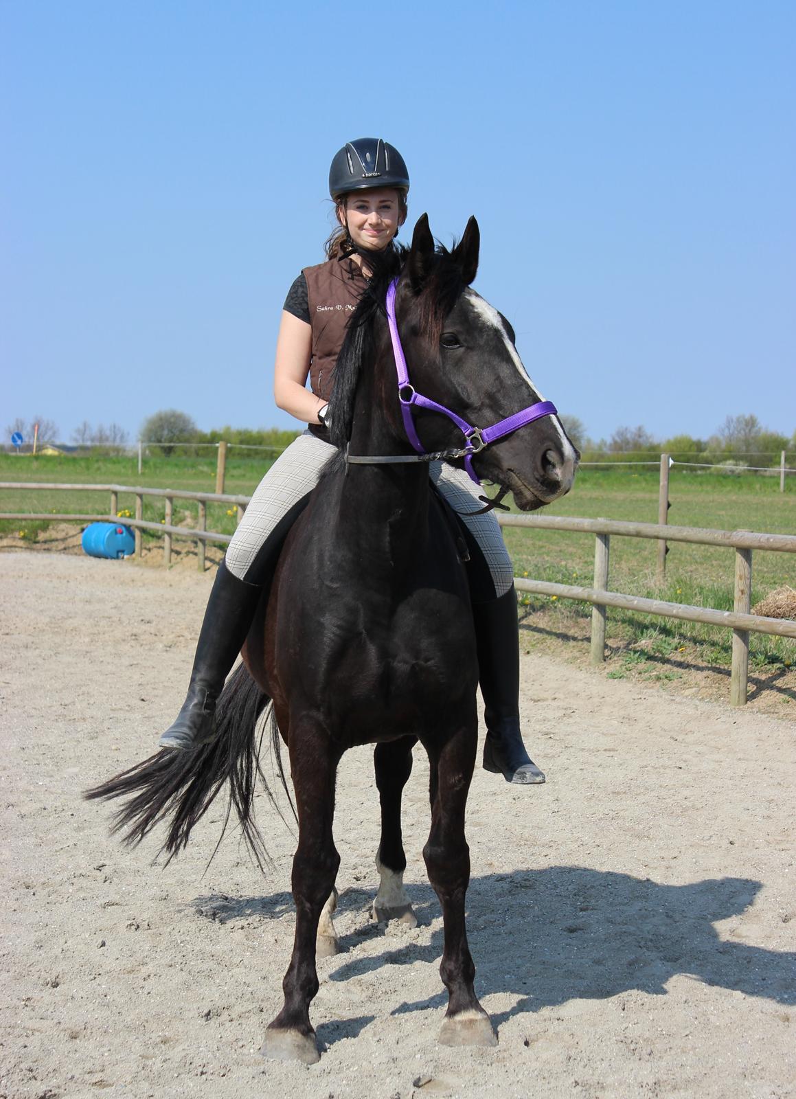 Oldenborg Beyonce M.A.T.C.H billede 13