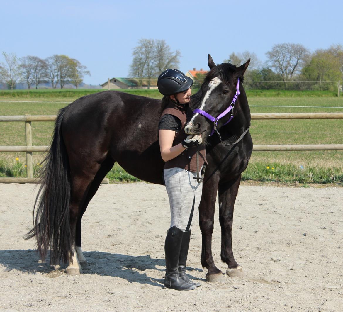 Oldenborg Beyonce M.A.T.C.H billede 19