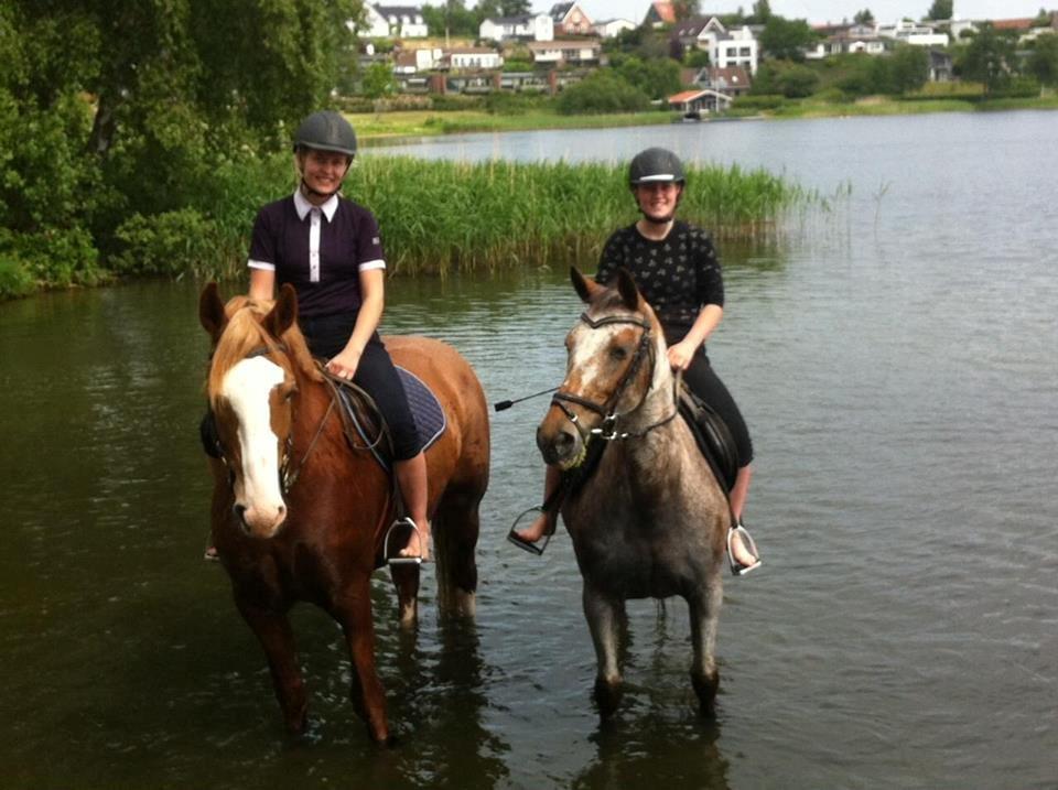 Knabstrupper Tessa <3 - Første gang vi bader. Fantastisk oplevelse på elskede Tess. <3 billede 17