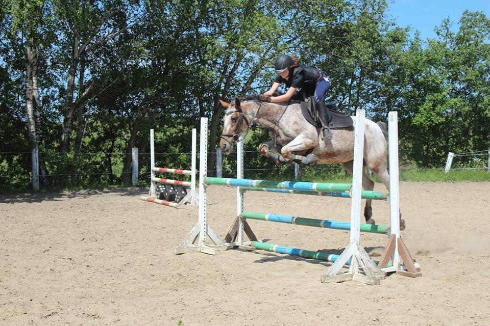 Knabstrupper Tessa <3 - Tess og jeg over 105!  billede 19