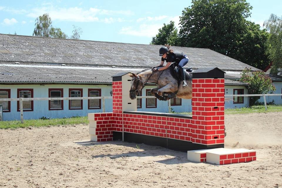 Knabstrupper Tessa <3 - Vi giver den altid gas sammen ! Nogle gange lidt for meget ;)  billede 20