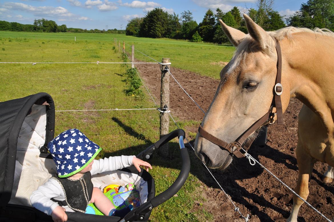 Frederiksborg Santini Vejleby billede 19