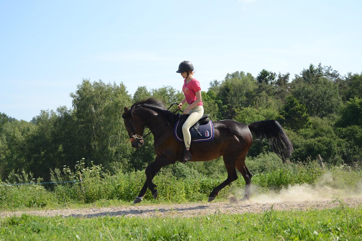 Traver Maja simoni billede 15