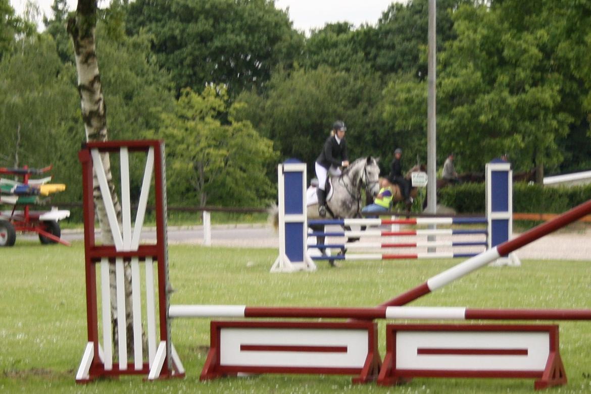 Anden særlig race Cara - SOLGT billede 38