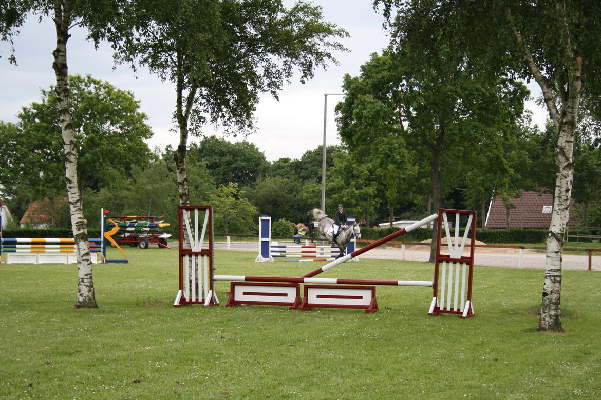 Anden særlig race Cara - SOLGT billede 39