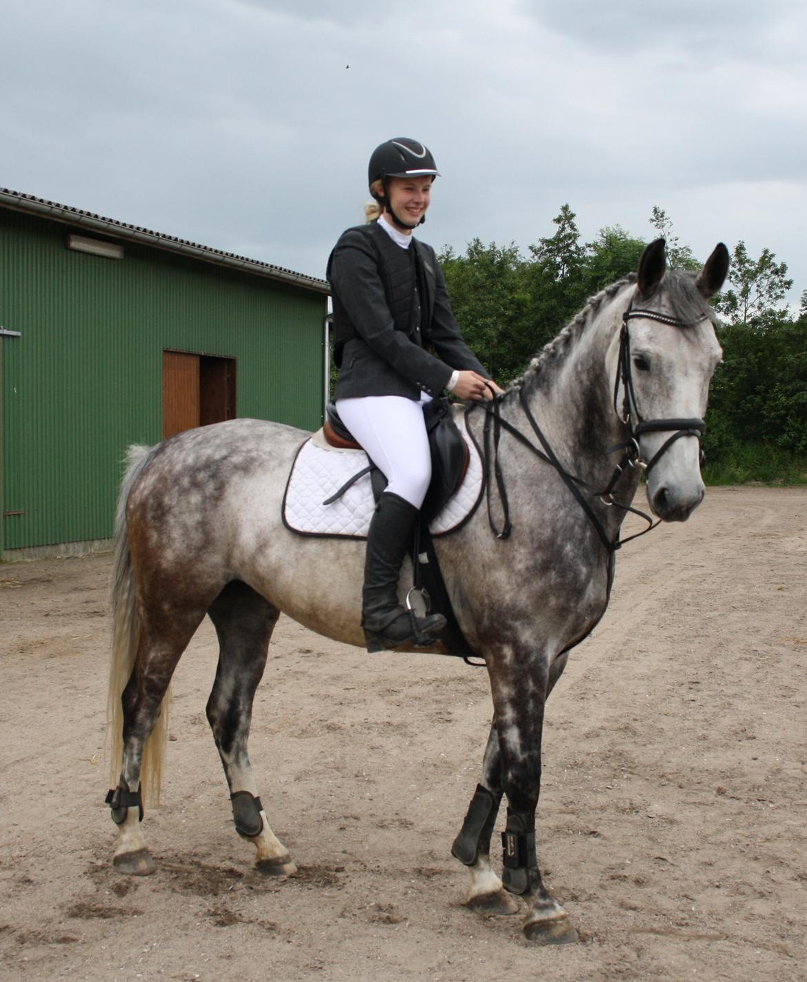 Anden særlig race Cara - SOLGT billede 40