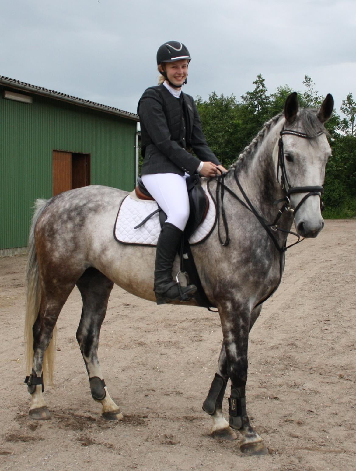 Anden særlig race Cara - SOLGT billede 41