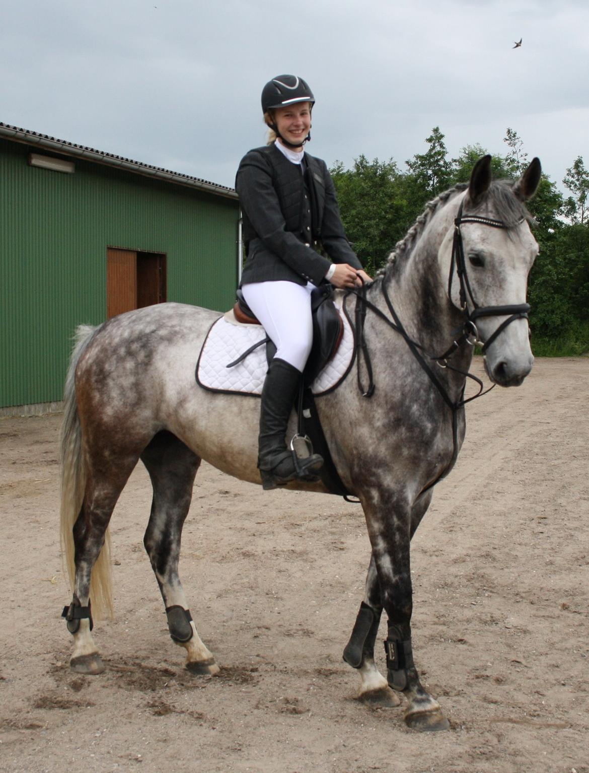 Anden særlig race Cara - SOLGT billede 42