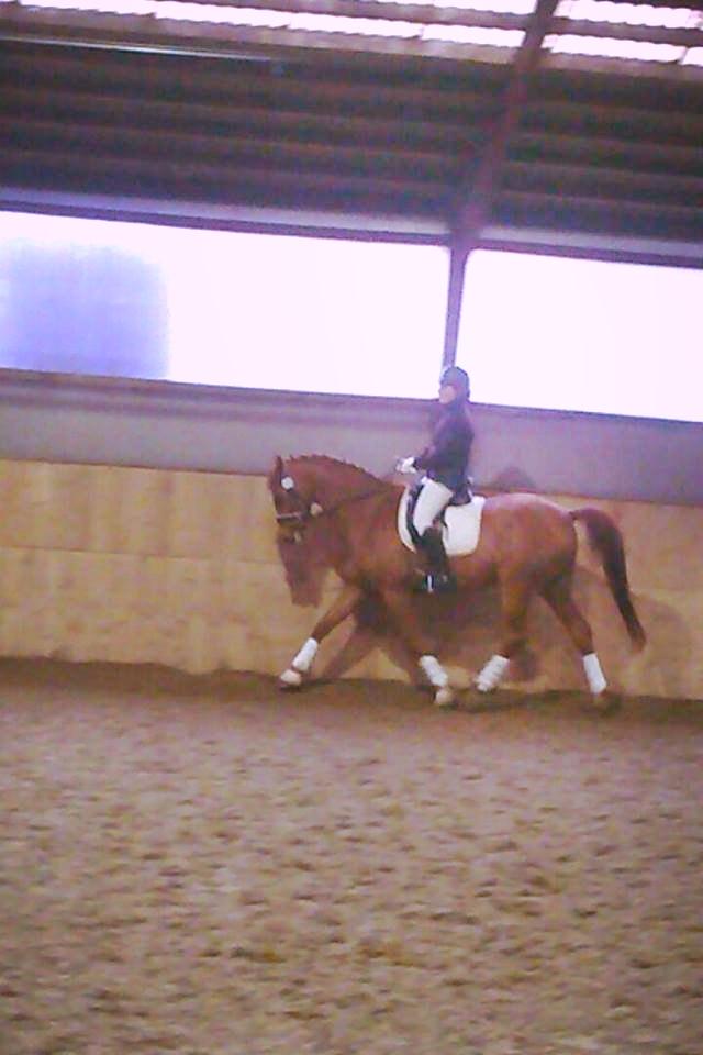 Anden særlig race ¬ DJAPPA THE HOT {Nadas} <3 [Min] billede 20