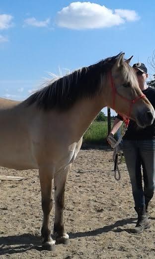 Anden særlig race Ronja Mussen billede 15