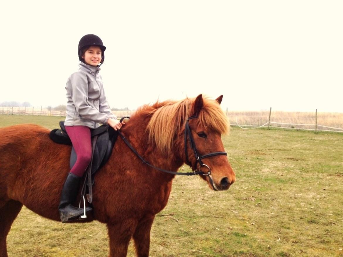 Islænder Vaka [tidl. Part] billede 7