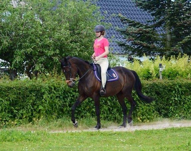 Traver Maja simoni billede 19