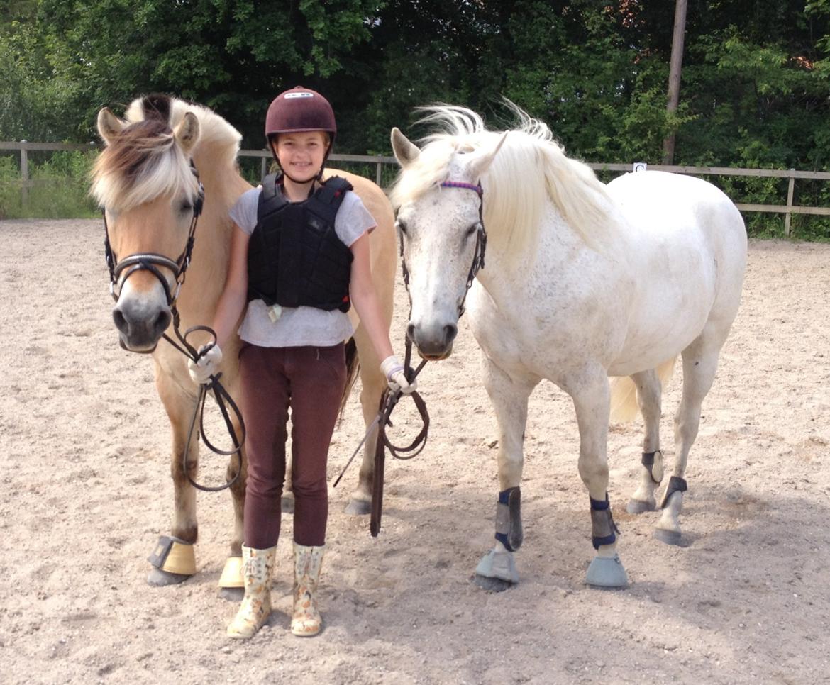 Fjordhest Thor - Caroline med Thor og Viktor på banen :-) billede 3
