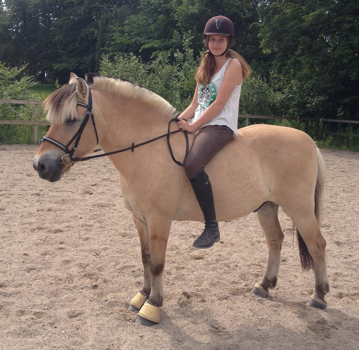 Fjordhest Thor - Thor med guldklokker på, fordi han er sin vægt værd i guld, haha. billede 13