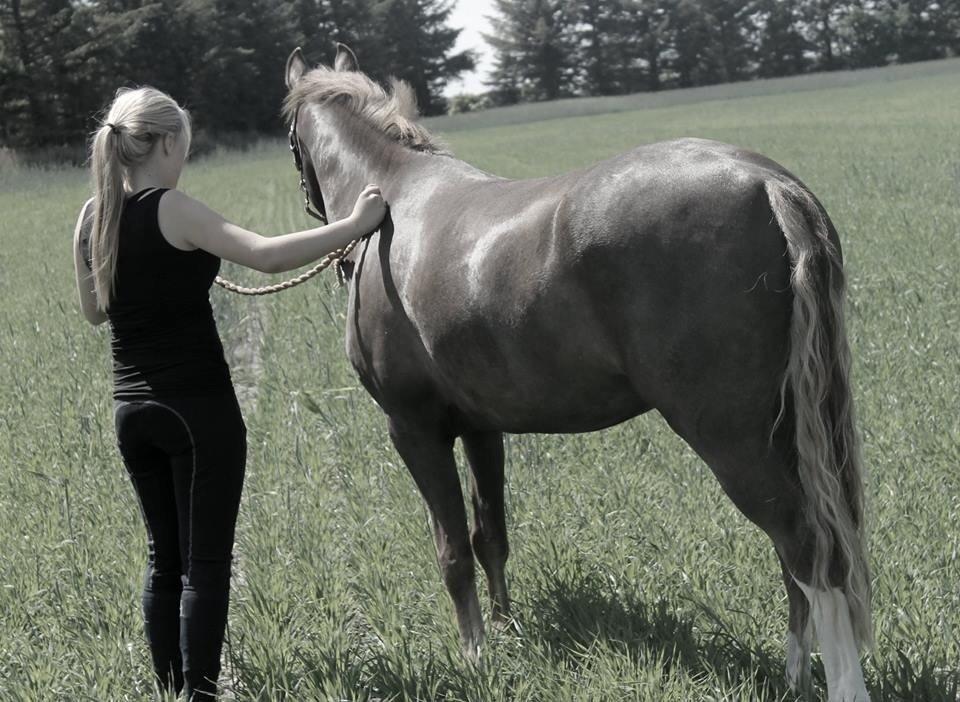 Anden særlig race Fabian billede 11