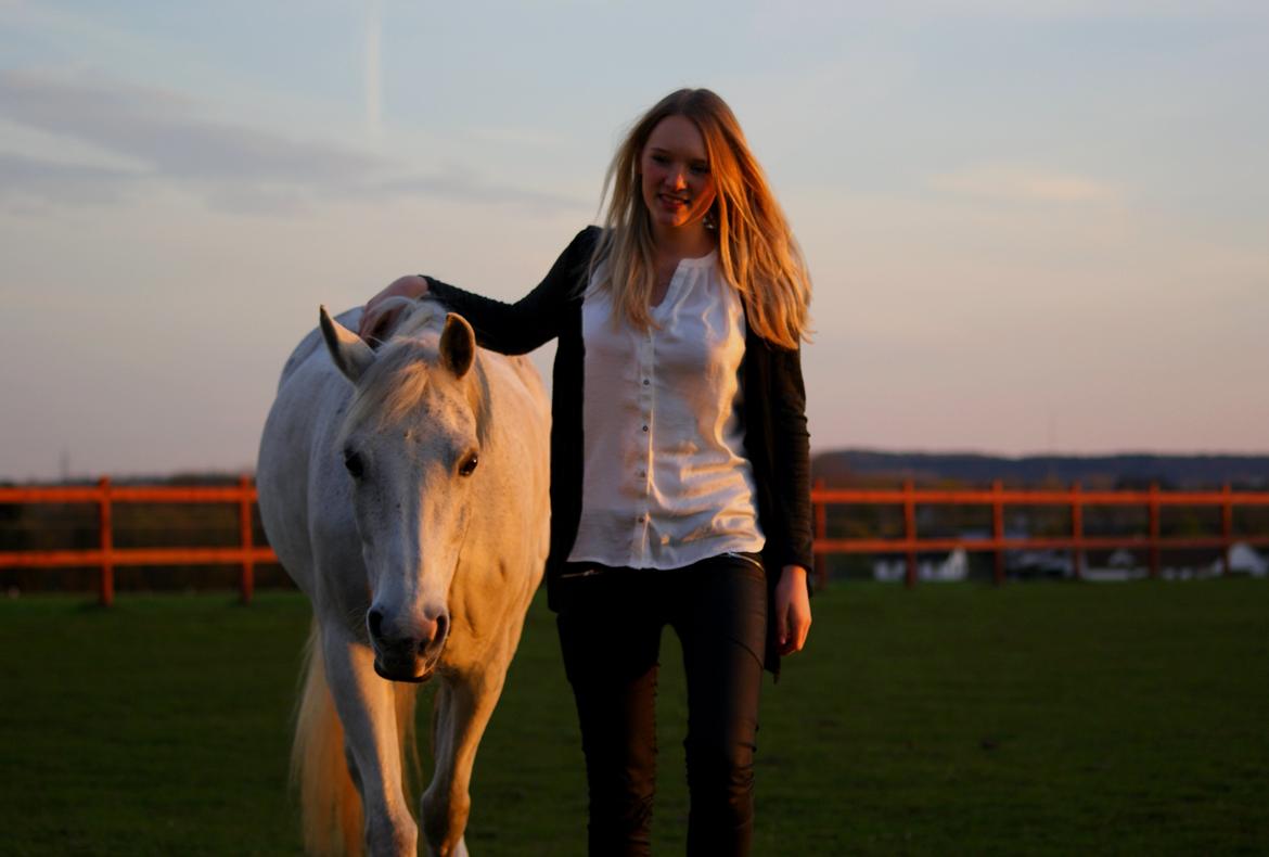 DSP Præstemarkens Mahogni |Honey| - "Wild and free", Det er utroligt så højt man kan elske sin pony <3 billede 14