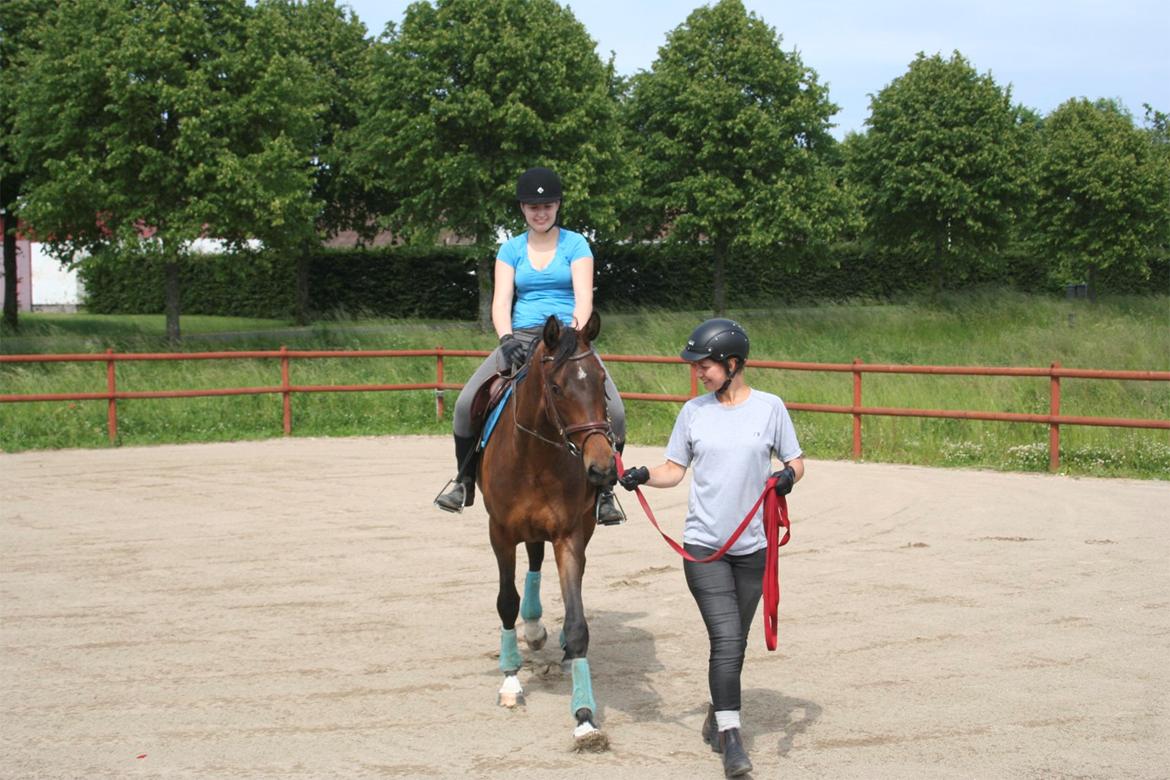 Dansk Varmblod Que Kimer - Første ridetur på Que - på hendes 3 års fødselsdag :) billede 2