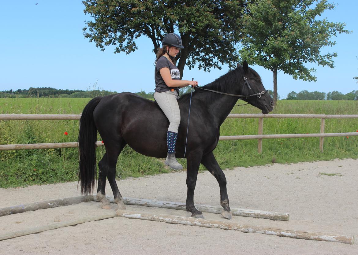 Oldenborg Beyonce M.A.T.C.H - Bakker ud af et L. billede 16