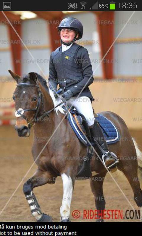 Pinto Spirit - verdens bedste spirit<3<3 billede 13
