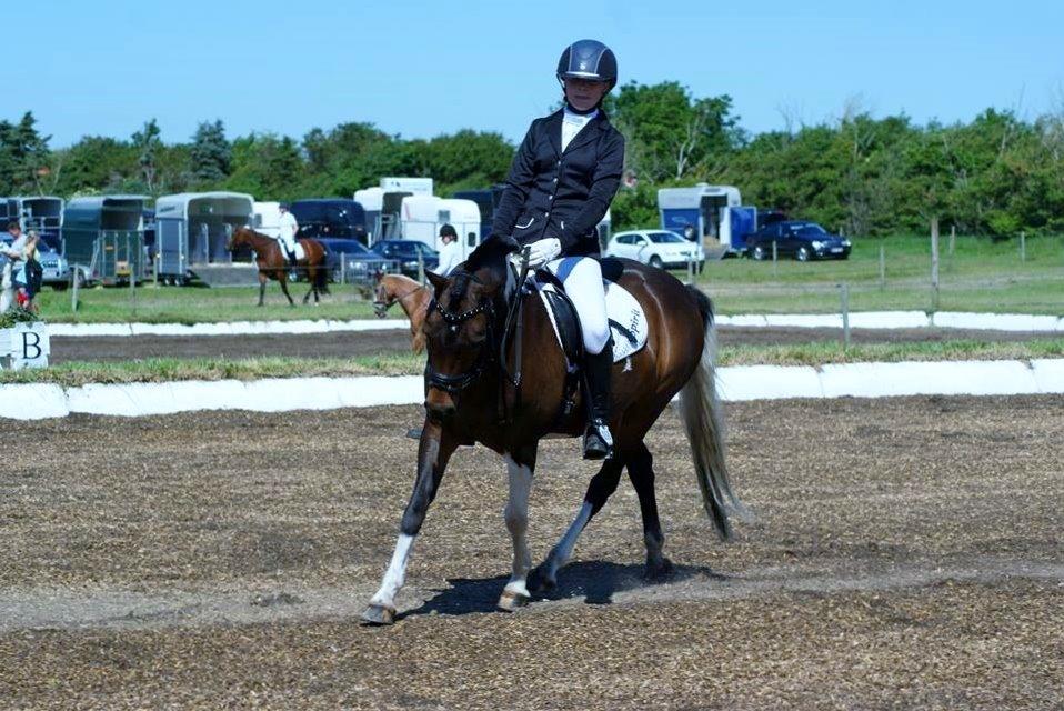 Pinto Spirit - LB2 i løgstør<3 64% elsker dig skat<3<3 billede 5