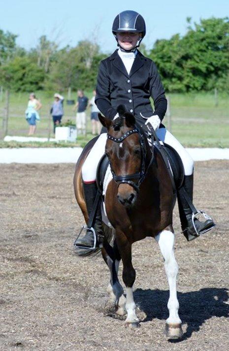 Pinto Spirit - så smuk<3 billede 9