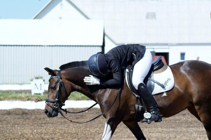 Pinto Spirit - Du er min bedste ven i hele verden<3<3 jeg vil gå igennem ild og vand for dig<3<3 billede 10