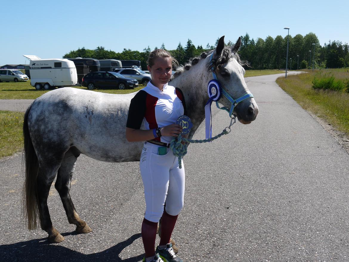 Anden særlig race Armani - B-pony - B-pony!!! billede 4