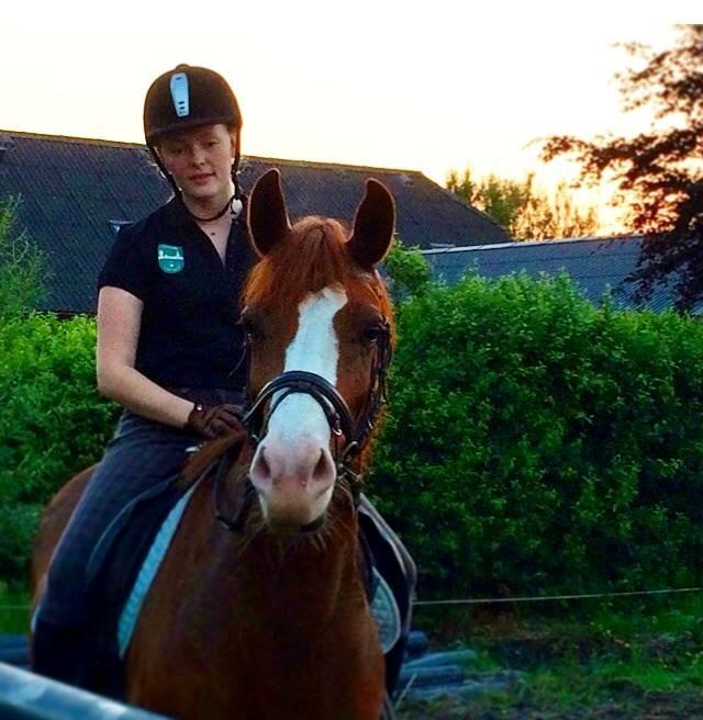 Anden særlig race Millinia - Igang med tilridning billede 5