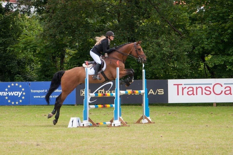 Holstener Quite la bryere billede 38