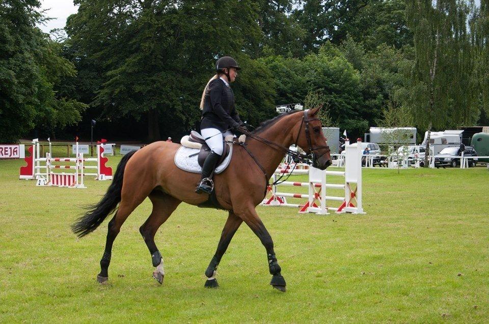 Holstener Quite la bryere billede 39