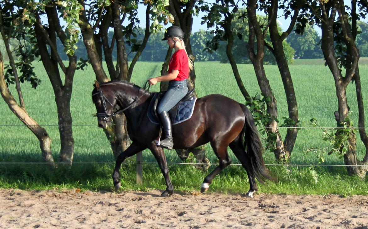 DSP Bakkegaarden's Mrs Magic - Juni 2014 billede 8