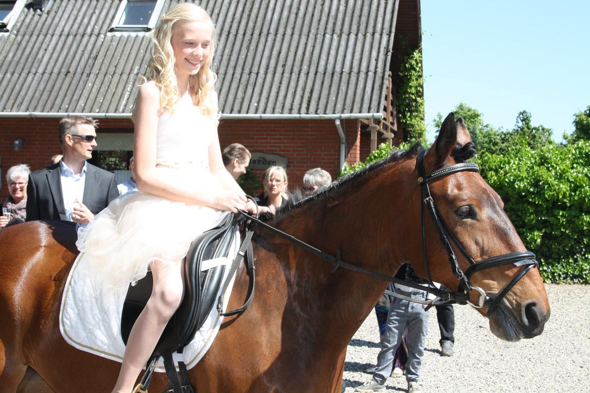 DSP Ellen - Første gang jeg sidder på hende! <3  FOTO: HAUGE billede 26