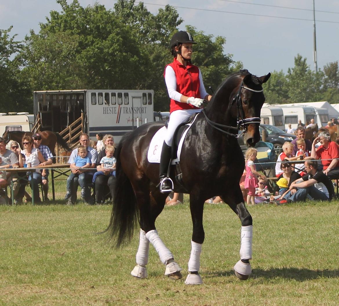 Oldenborg Højvangs Turbo billede 10