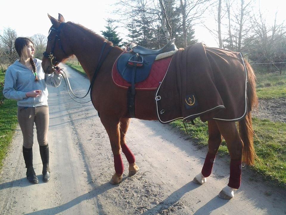 Anden særlig race Purples Red April (Part) - Min veninde og April billede 11