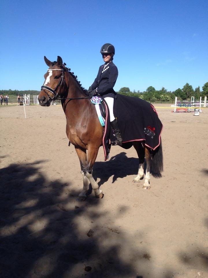 Dansk Varmblod Miss Felicia - Til cup præmieoverrækelse på RSR som LB cup vinder. Sommer 2014. billede 14