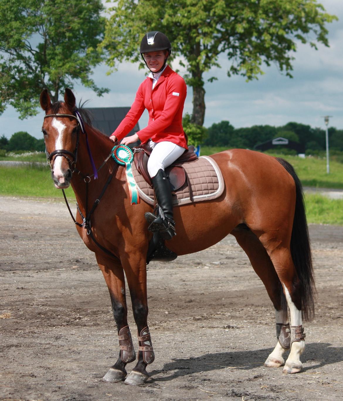 Dansk Varmblod VERONA HS - 0 fejl i U-LB1* og 2. plads i LB1* Vilhelmsborg 2014 billede 2