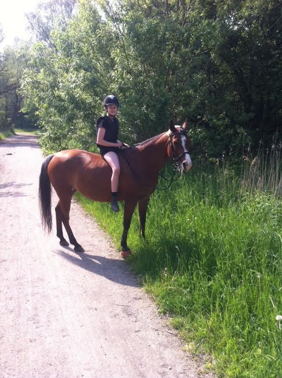 Arabisk fuldblod (OX) Ghana VSR - 24-05-2014 - I skoven uden sadel med Emma og Desse :3 billede 2