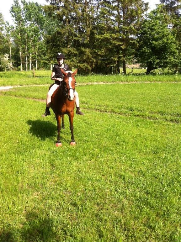 Arabisk fuldblod (OX) Ghana VSR - 24-05-2014 - I skoven uden sadel med Emma og Desse :3 billede 1