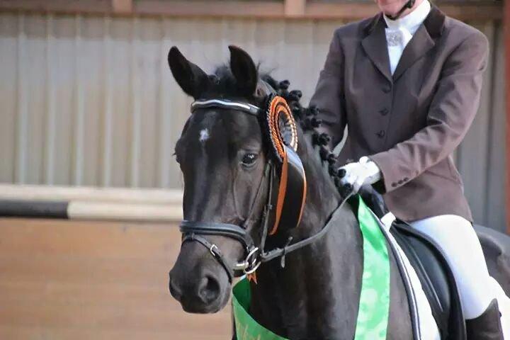 Anden særlig race Beat It billede 13