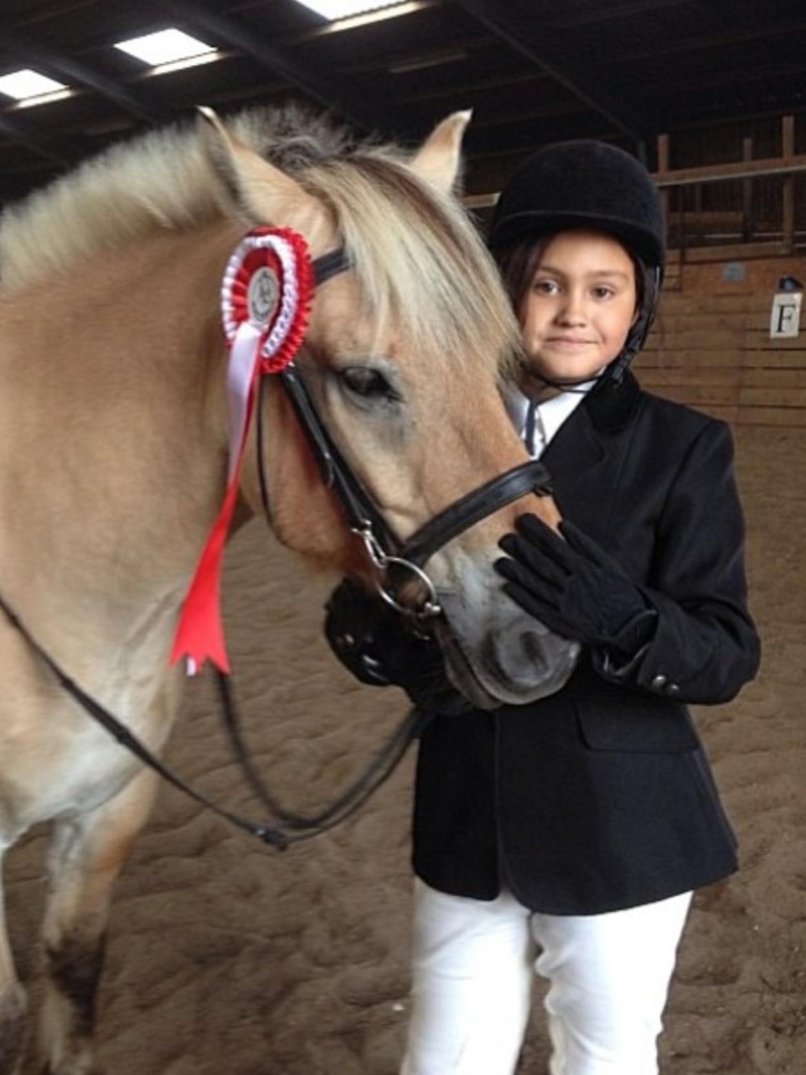 Fjordhest Carl (guld drengen) *RIDESKOLEHEST* og *MIN PART* billede 4