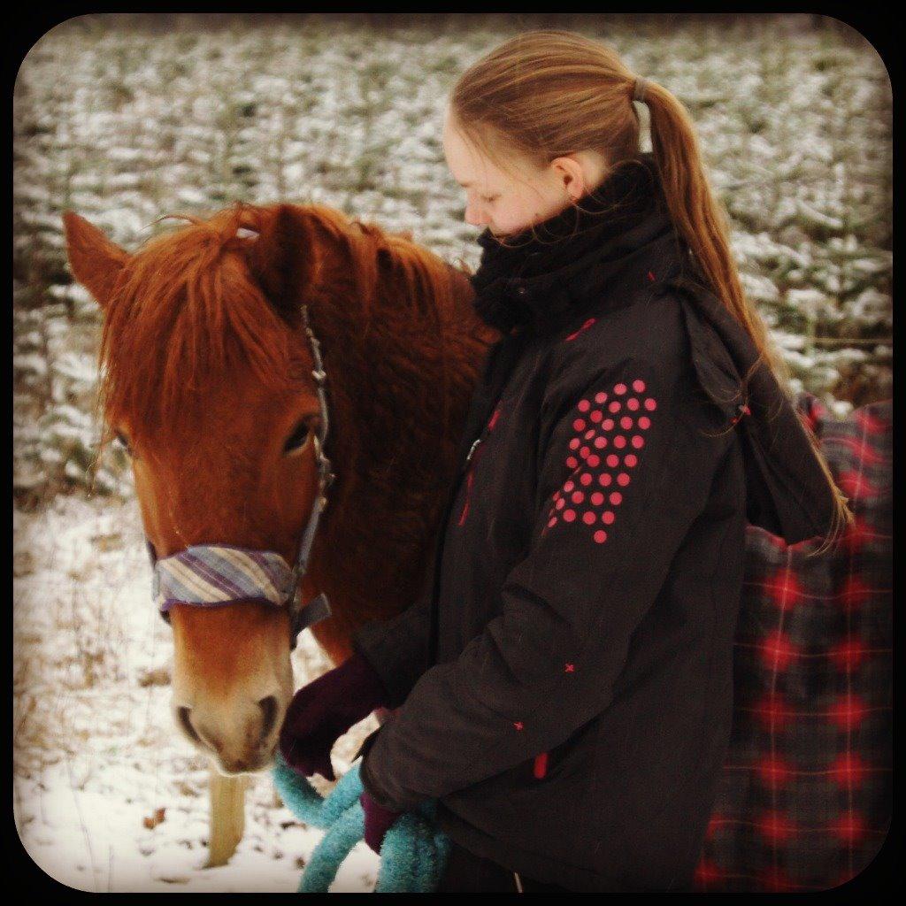 Anden særlig race Rosa - Velkommen til Rosas profil! billede 1