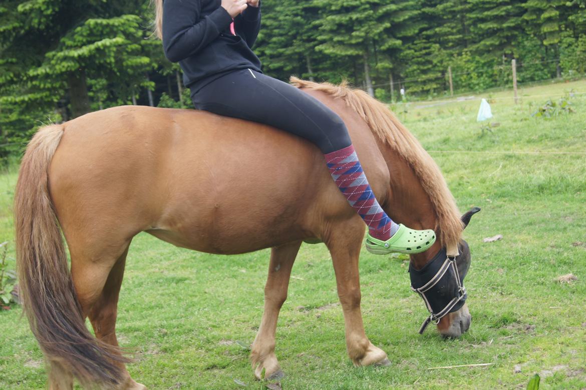 Anden særlig race Rosa - Den Bedste Pony! billede 47