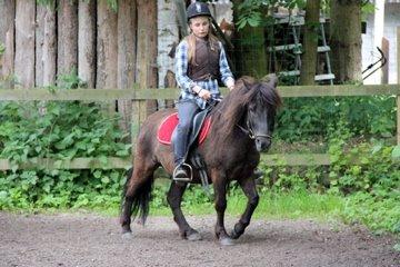 Anden særlig race Mønstergårdens Whisper In The Dark (himmelhest) billede 14