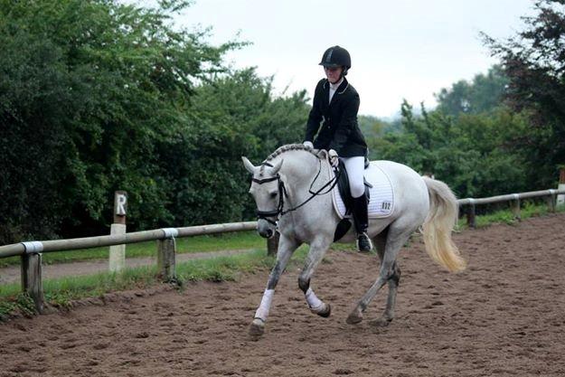 Connemara Haahr's Sundae - Mit et og alt.  billede 5