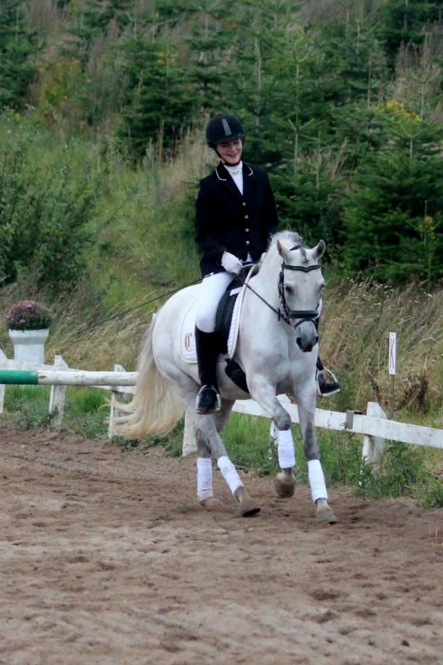 Connemara Haahr's Sundae - Efter jeg fik en ordenlig bukke tur.. til stævne.  billede 6