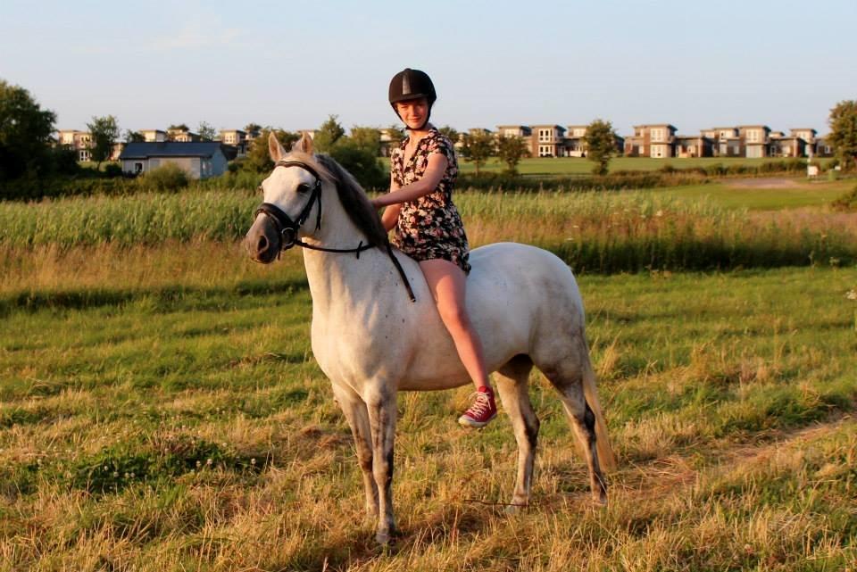 Connemara Haahr's Sundae - Stranden 2013 billede 3