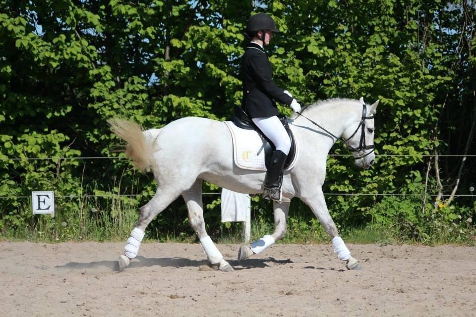 Connemara Haahr's Sundae - Ved at afslutte øgning billede 10